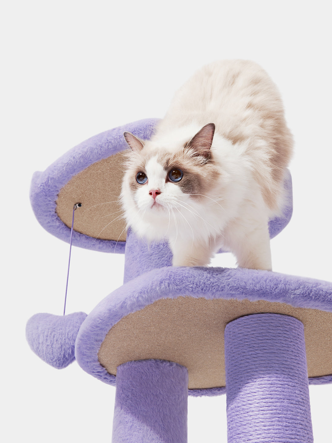 Y Heartpurrple Cat Climber - 4 Platforms