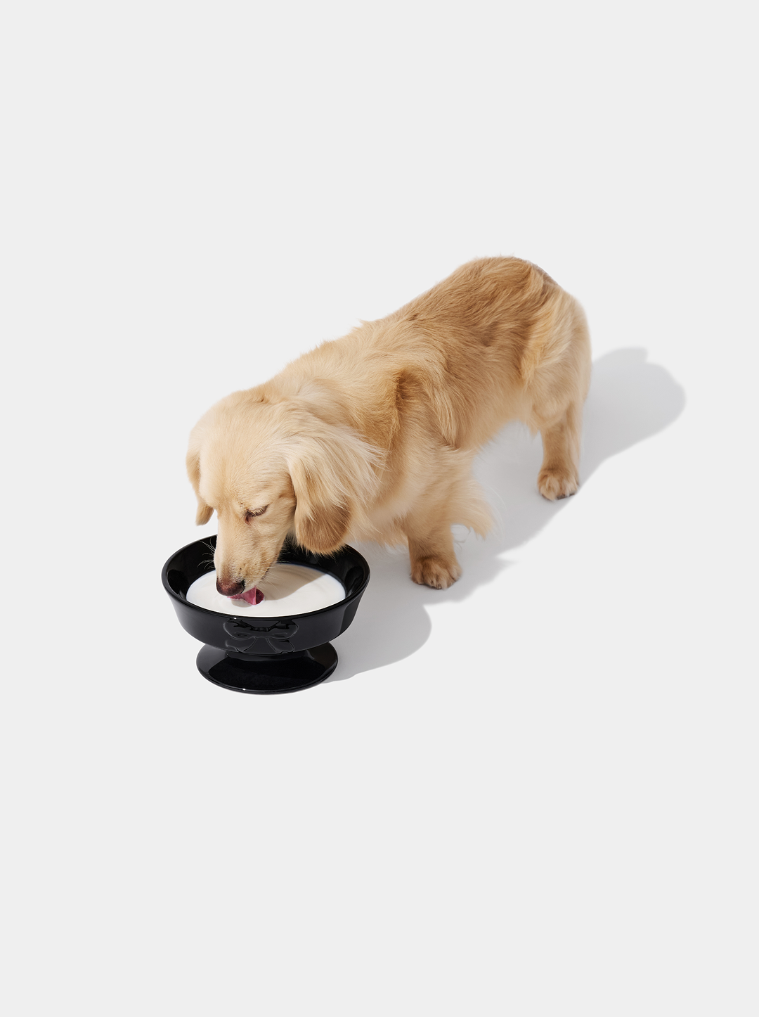 Bow De Noir Ceramic Pet Bowl