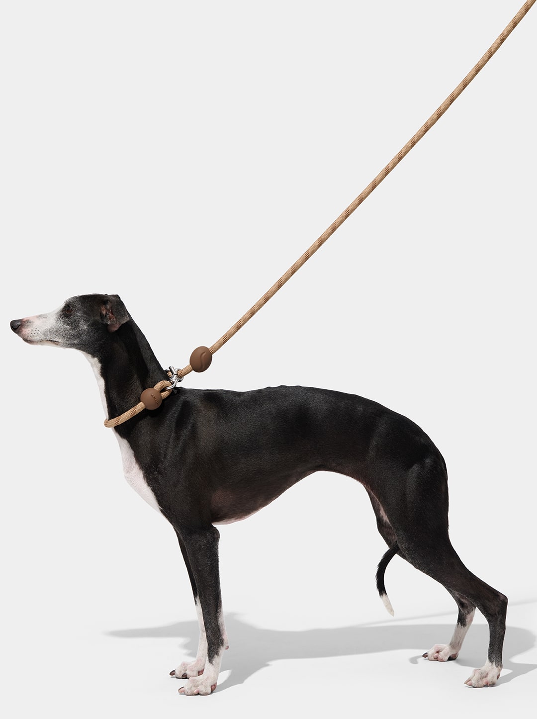 Coffee Connect Hands-Free Rope Leash