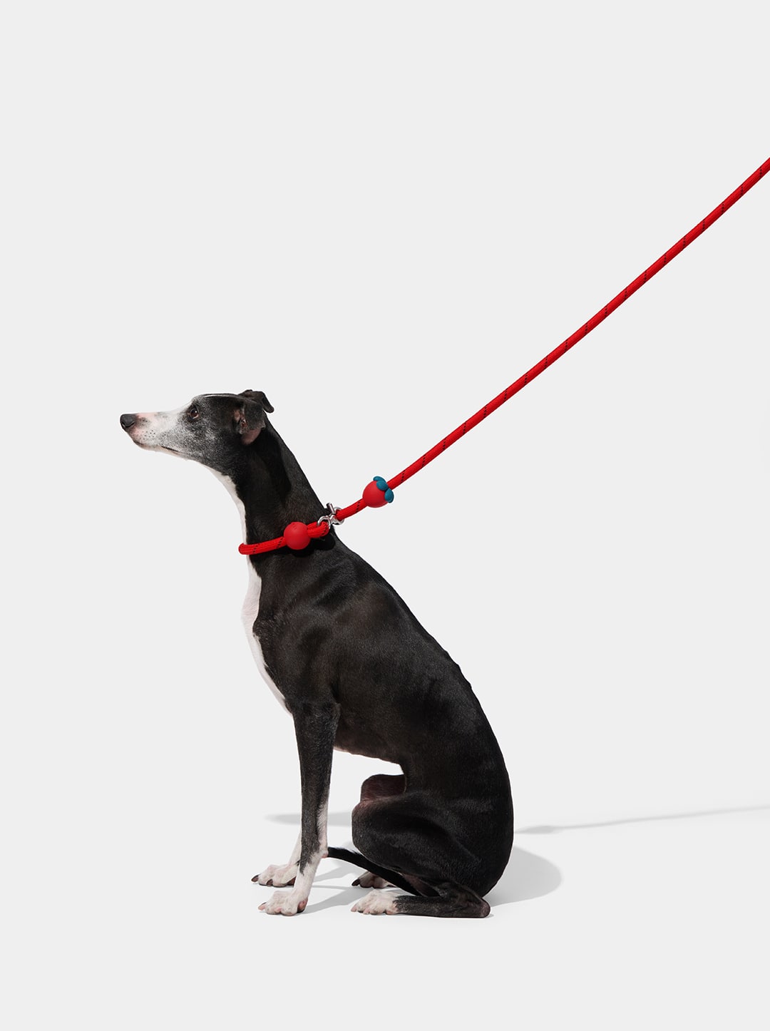 Strawberry Connect Hands-Free Rope Leash