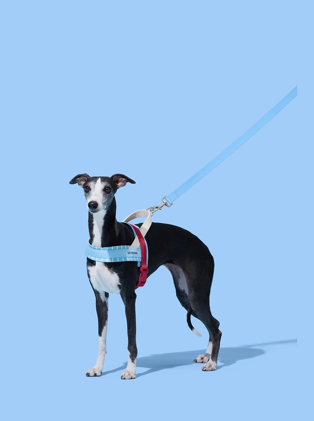 Mist And Merlot Pet Harness & Leash Set