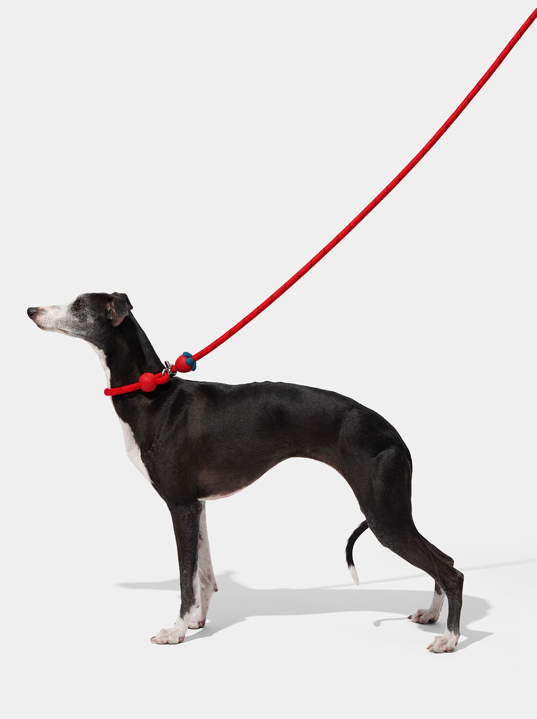 Strawberry Connect Hands-Free Rope Leash