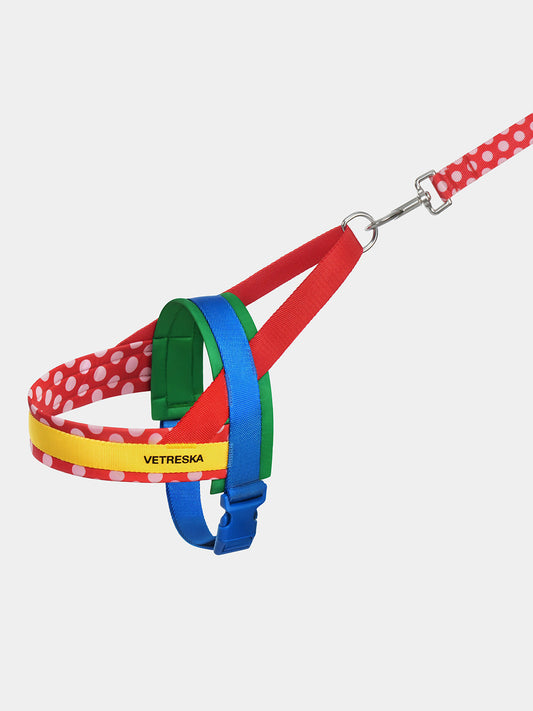 Y Chroma Pet Harness & Leash Set-Red