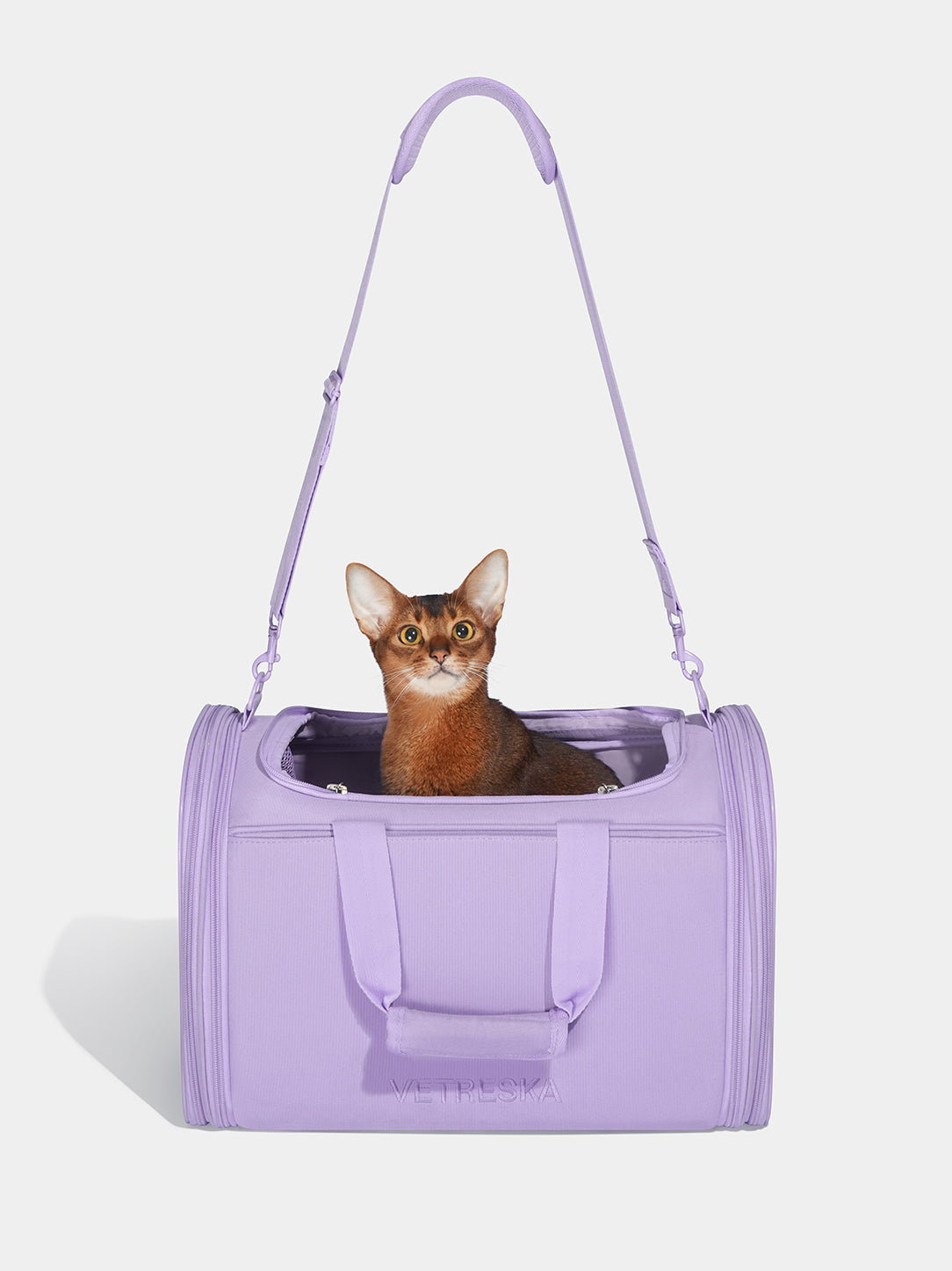 Y Violet Pet Carrier