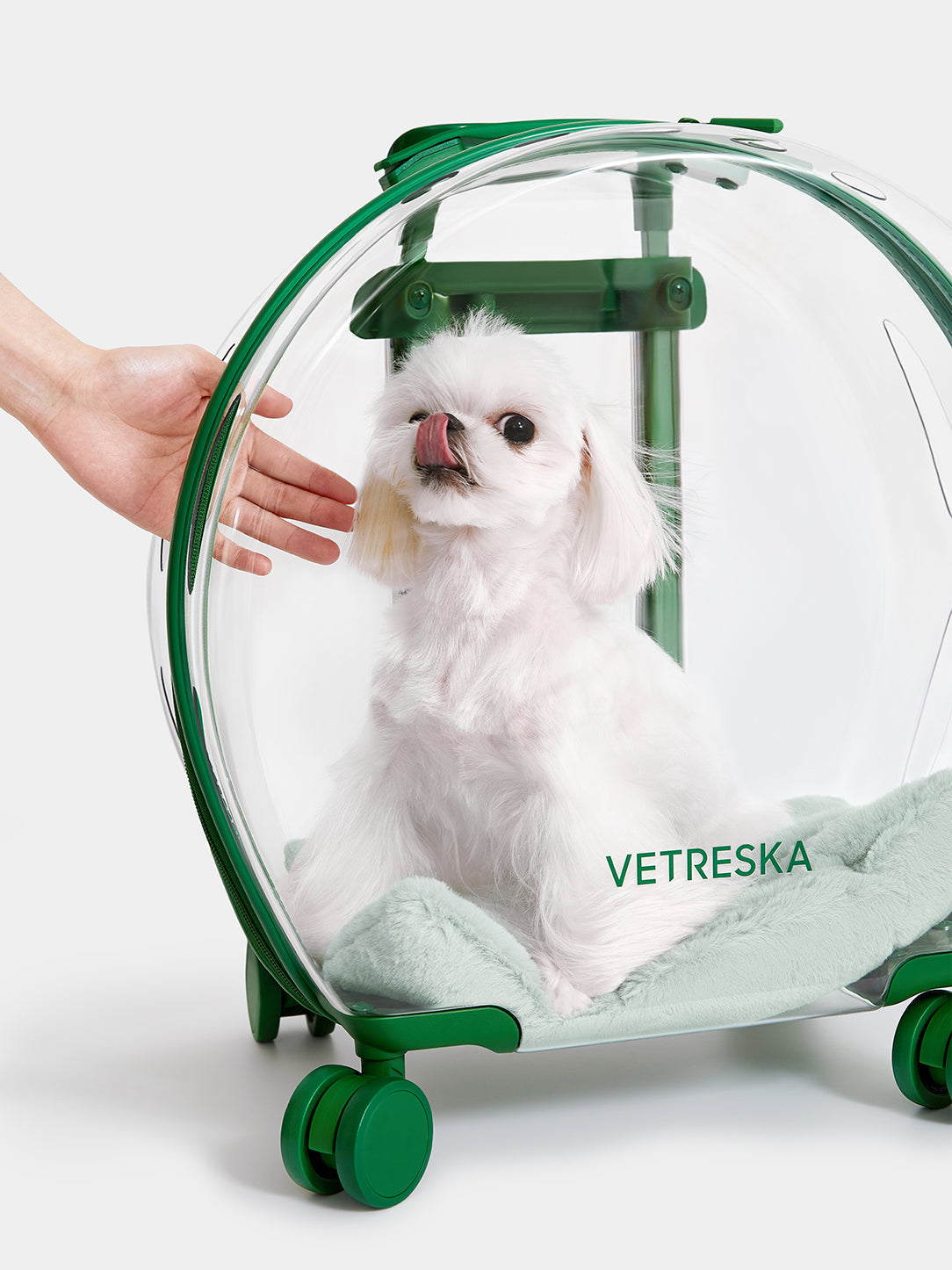 Bubble Pet Carrier - Green Color Block