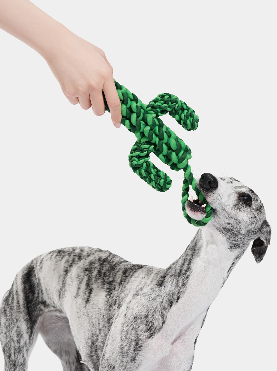Oasis Cactus Knot Rope Toy