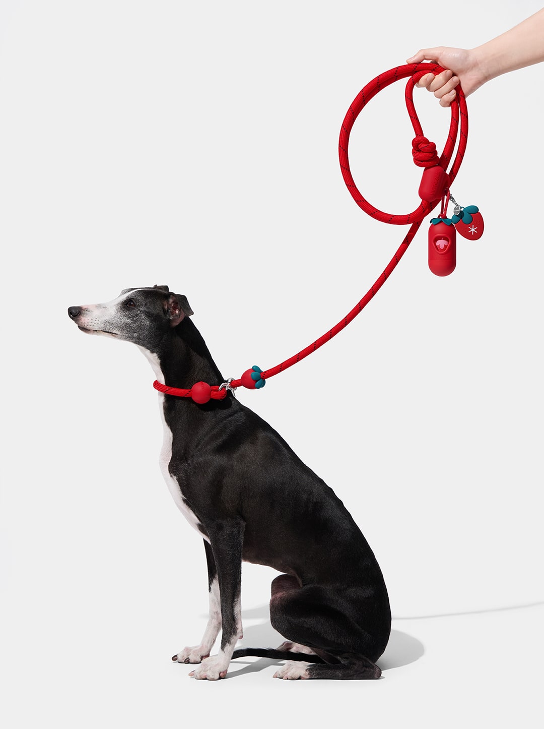 Strawberry Connect Pet Poop Bag Hands-Free Clip