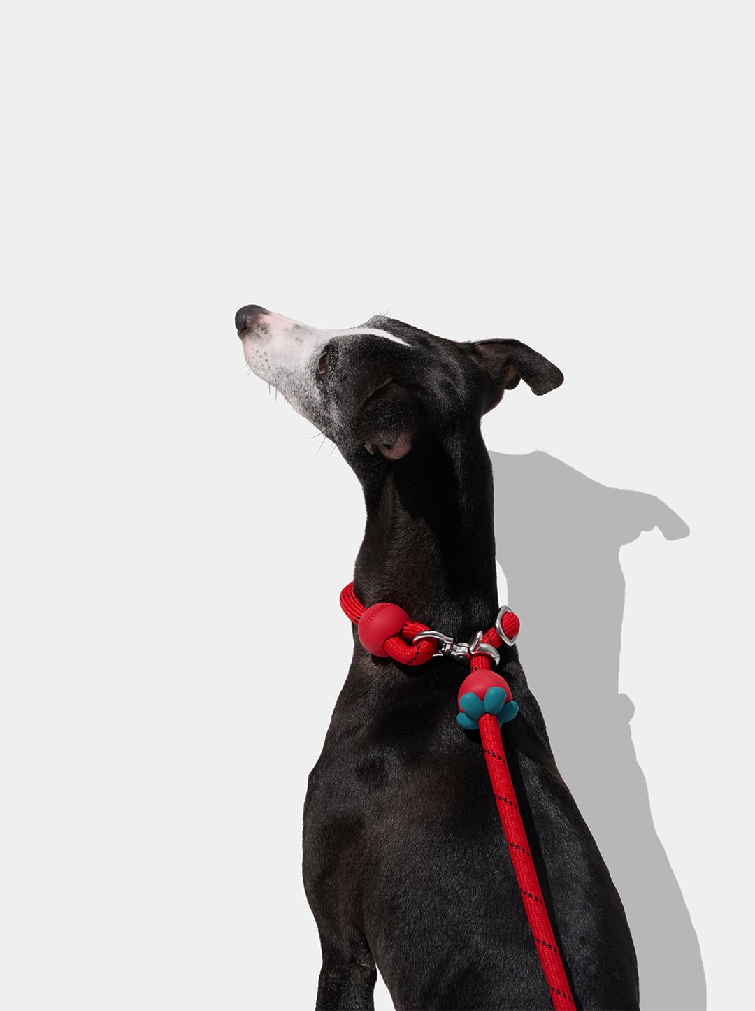 Strawberry Connect Hands-Free Rope Leash