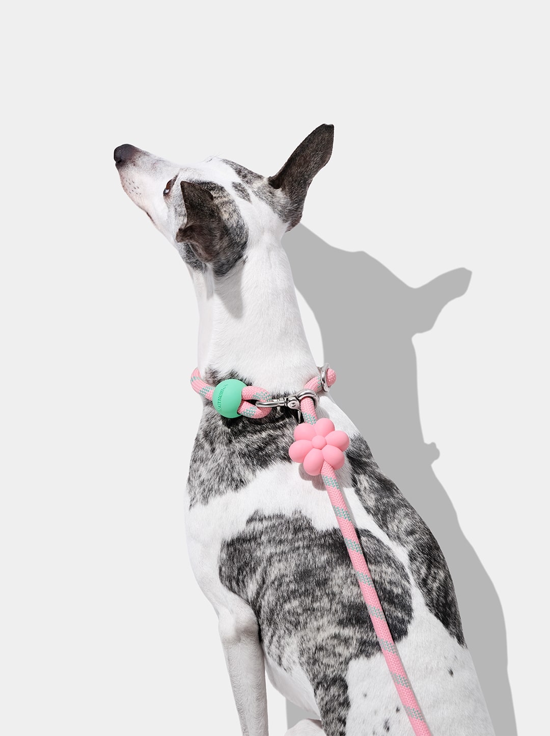 Flora Connect Hands-Free Rope Leash