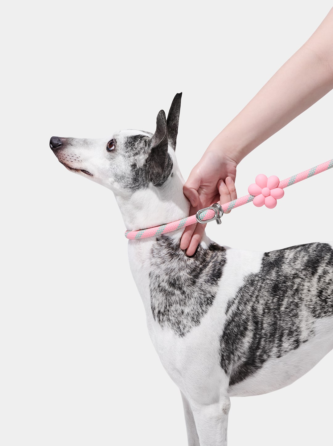 Flora Connect Hands-Free Rope Leash