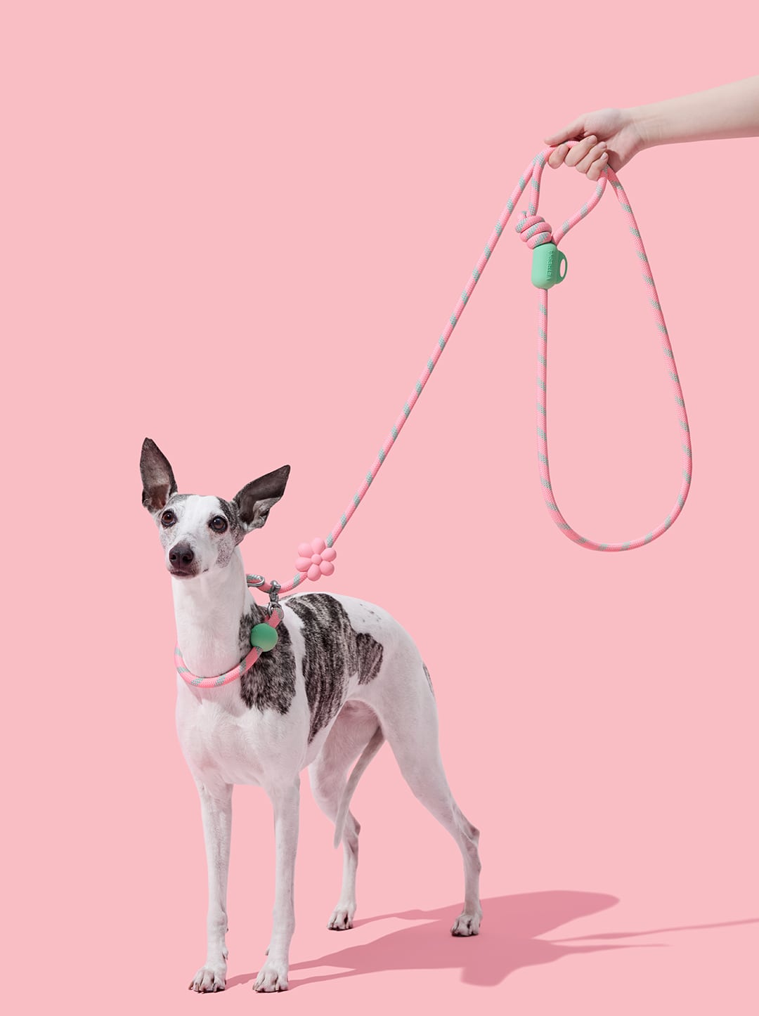 Flora Connect Hands-Free Rope Leash