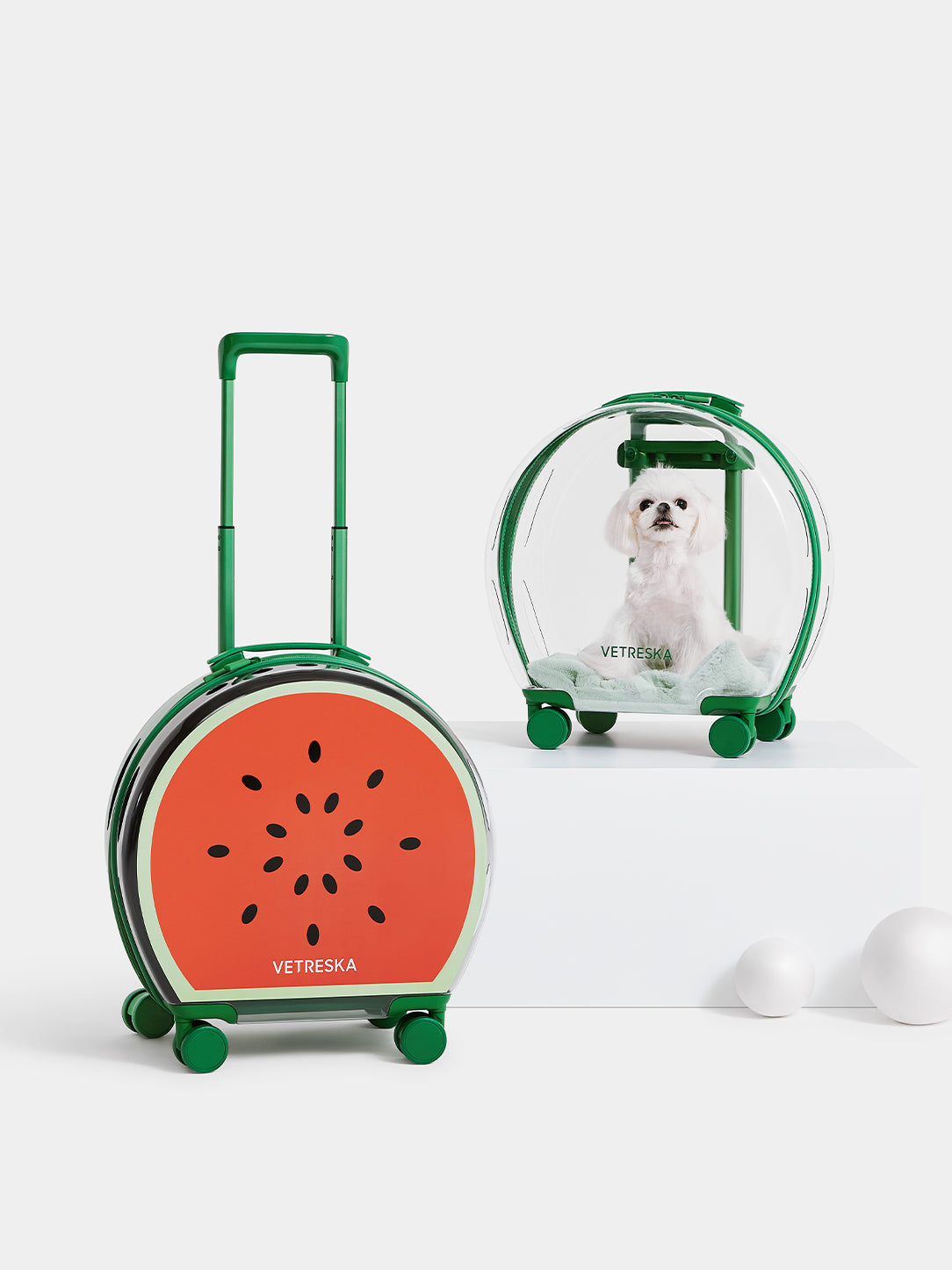 Bubble Pet Carrier - Green Color Block