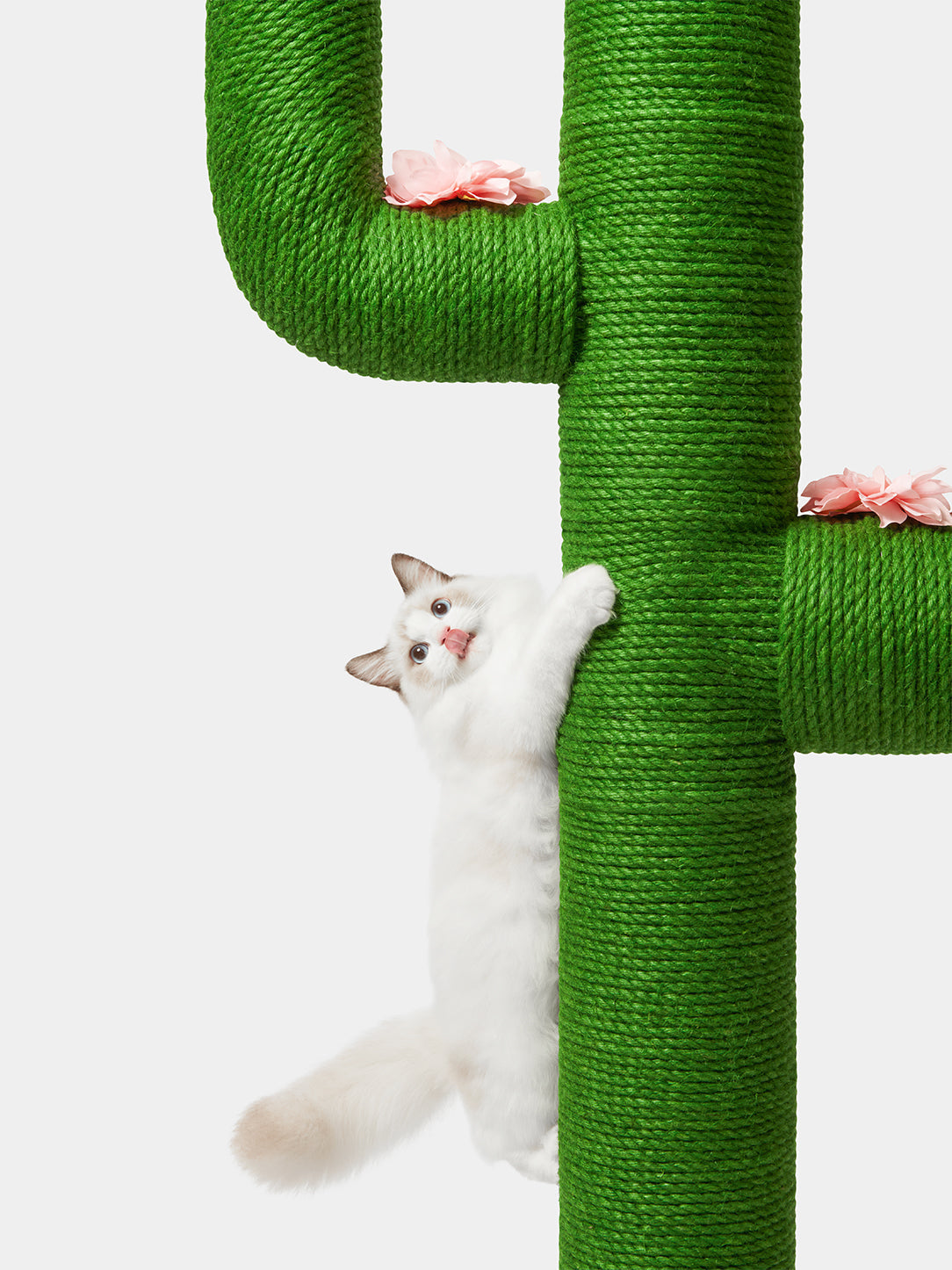 Y Oasis Cactus Cat Tree 65”