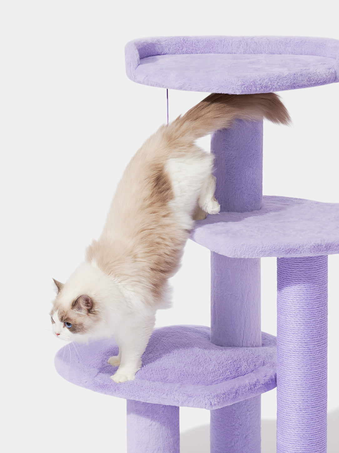 Y Heartpurrple Cat Climber - 4 Platforms