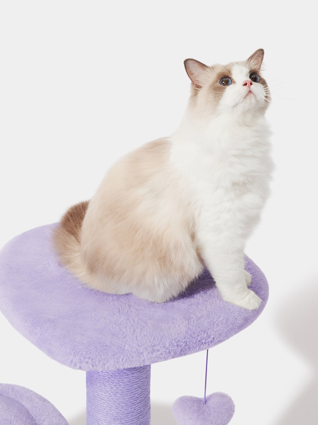 Y Heartpurrple Cat Climber - 3 Platforms