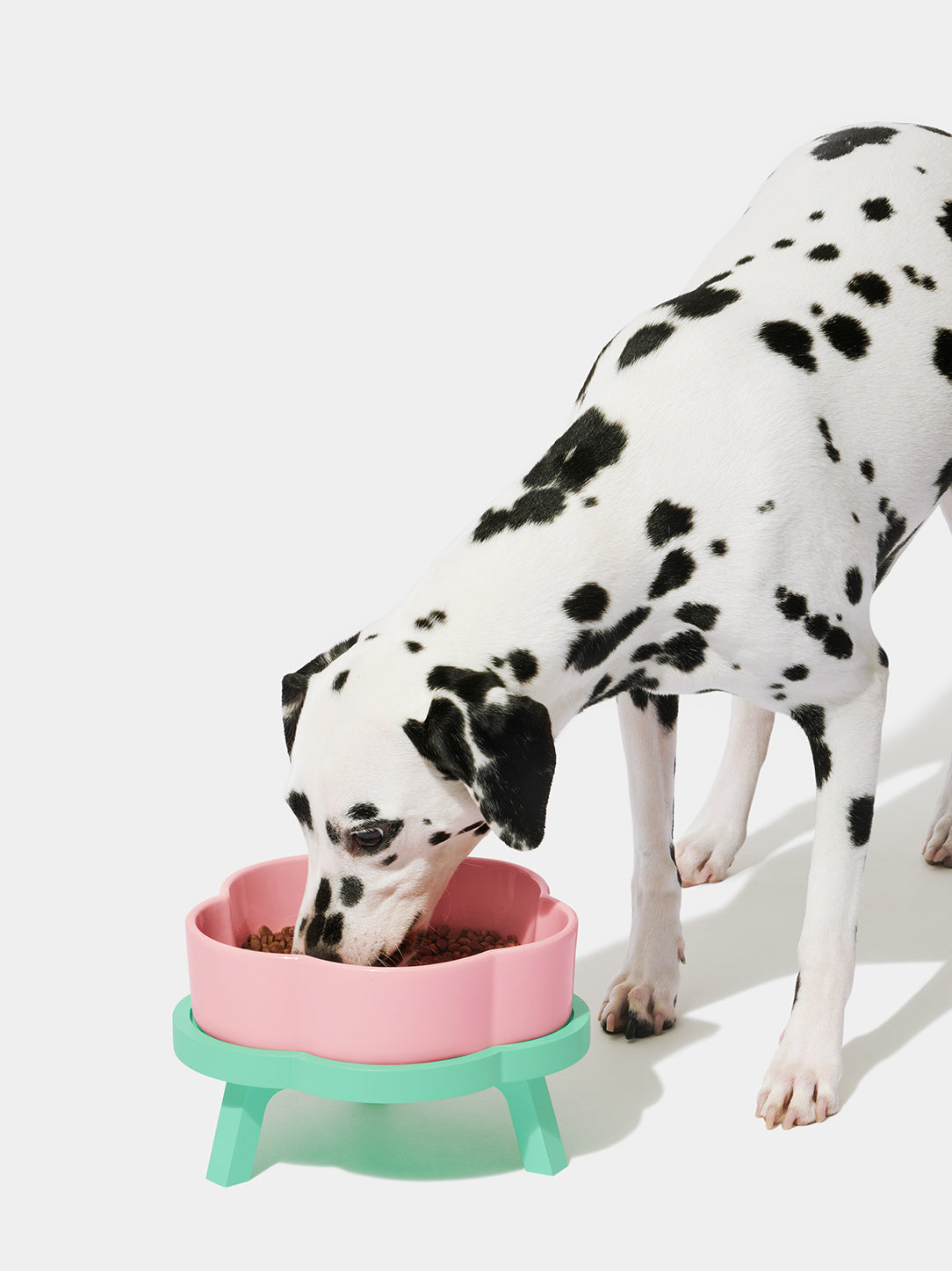 Y Flora Ceramic Pet Bowl Set