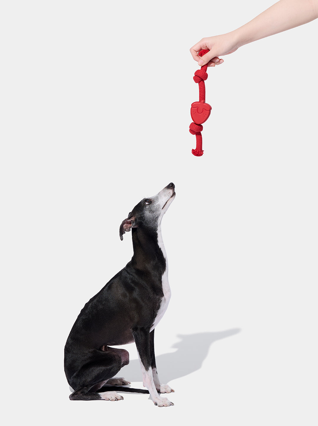 Strawberry Playful Charm Knot Rope Toy