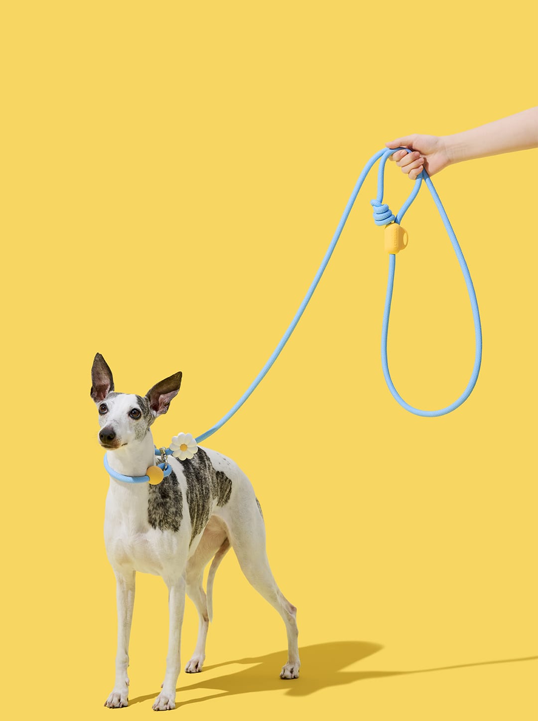 Daisy Connect Hands-Free Rope Leash