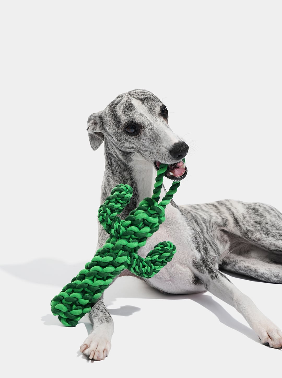Oasis Cactus Knot Rope Toy
