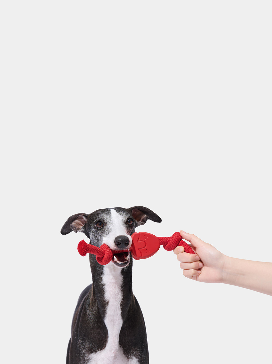 Strawberry Playful Charm Knot Rope Toy
