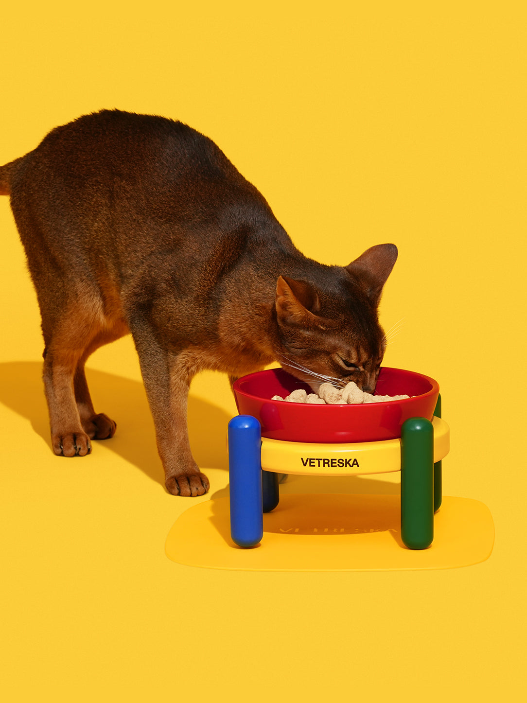 Chroma Pet Bowl & Mat Set