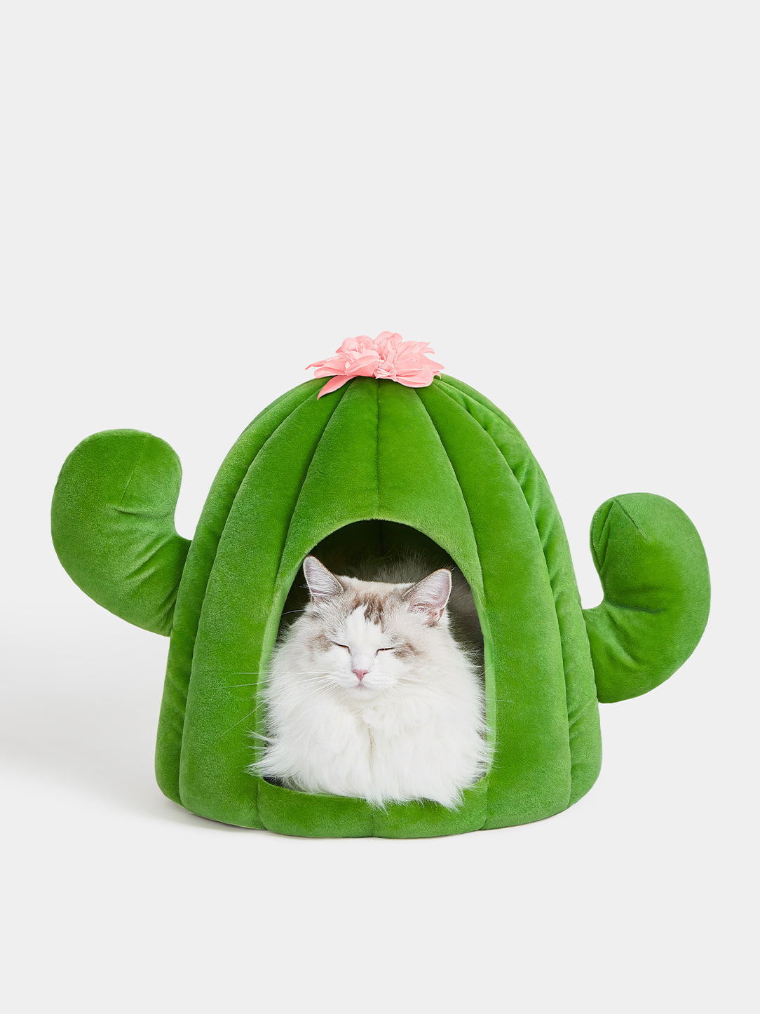 Y Oasis Cactus Pet Bed