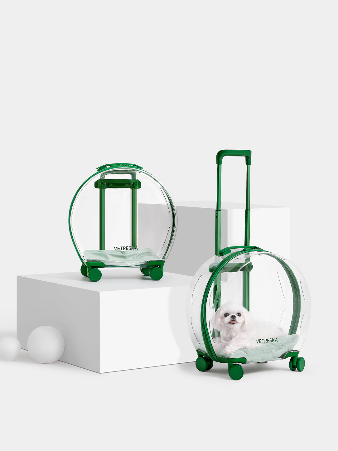 Y Bubble Pet Carrier - Green & Transparent