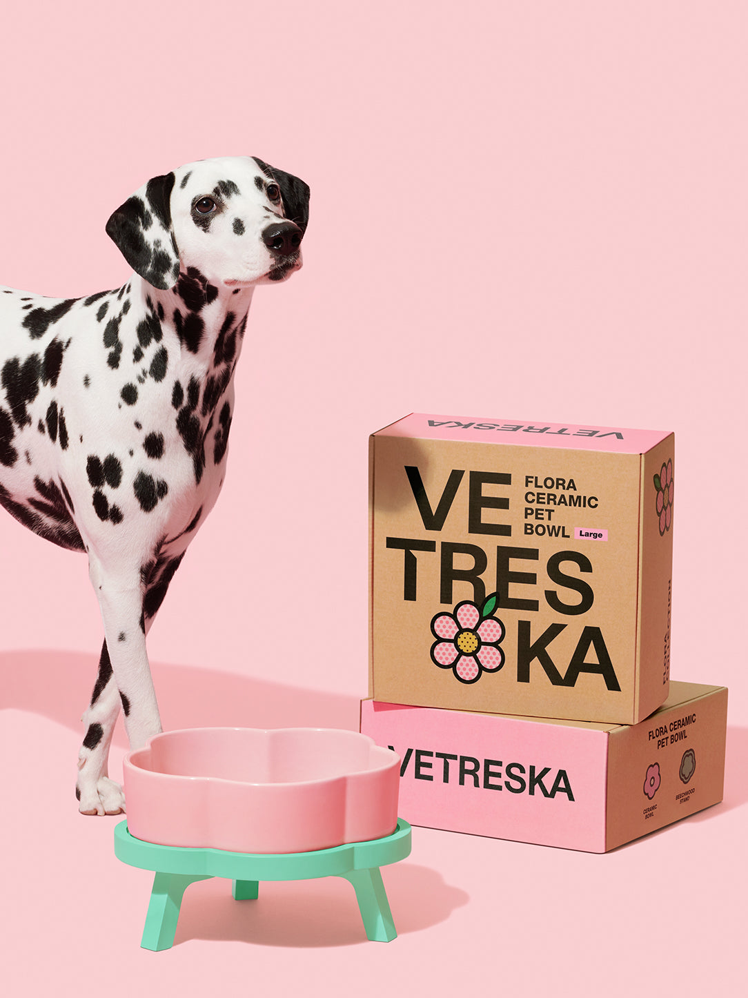 Y Flora Ceramic Pet Bowl Set