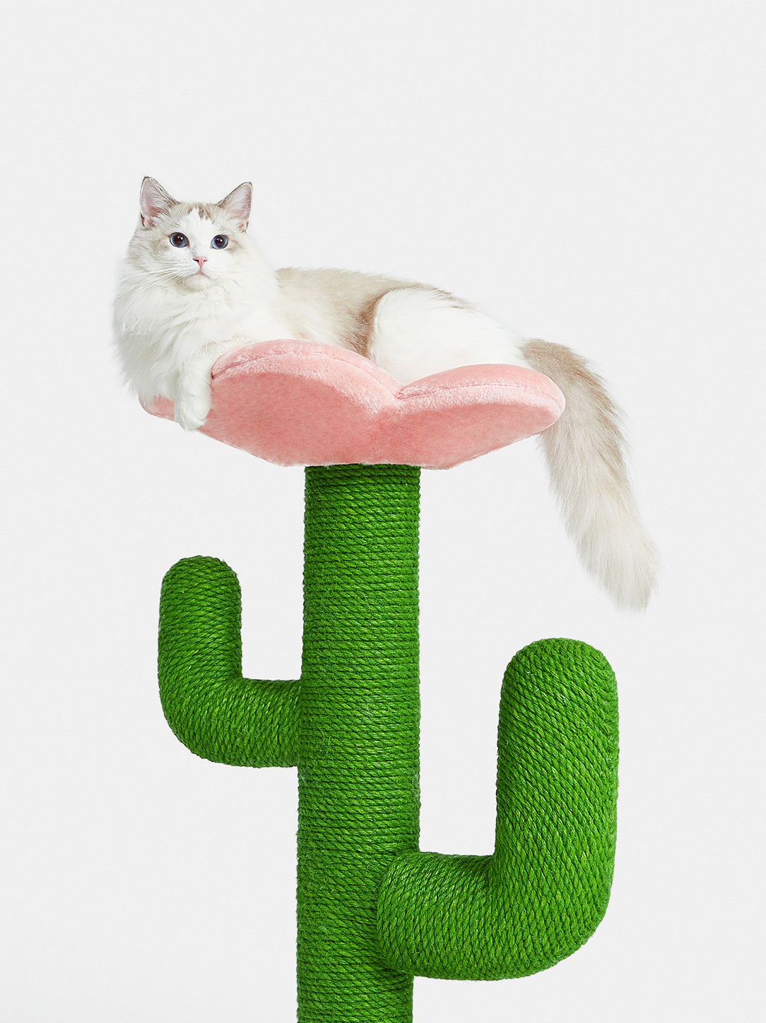 Vetreska - Blooming Cactus Cat Tree