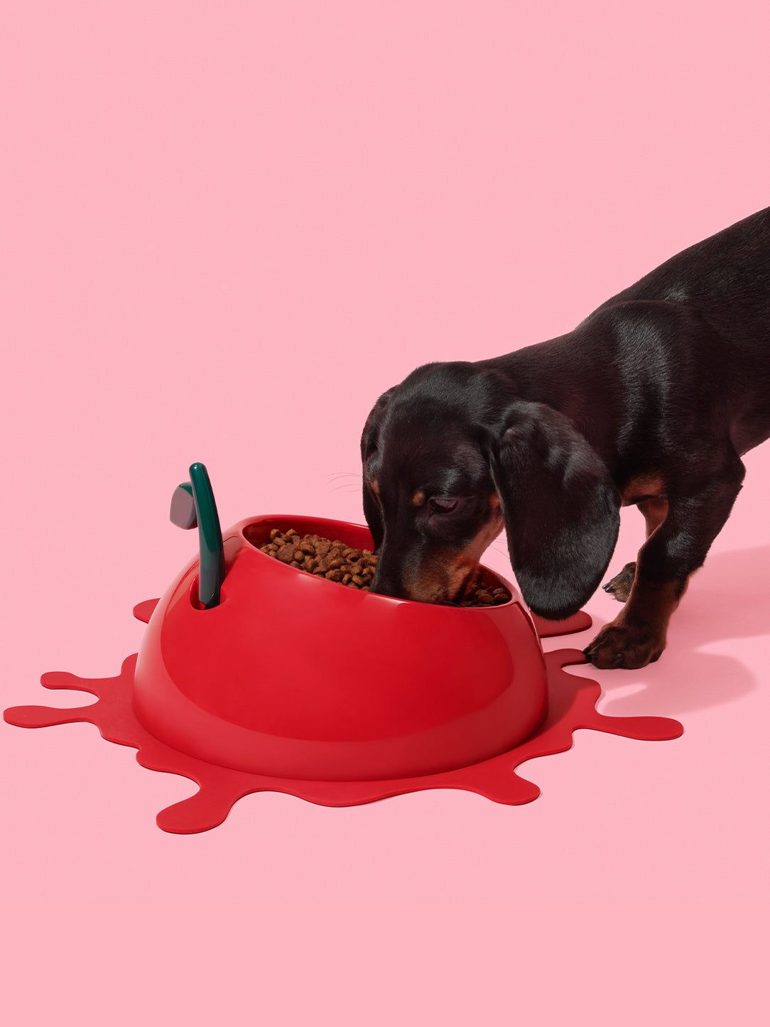 Y Juicy Cherry Pet Bowl, Spoon & Mat Set