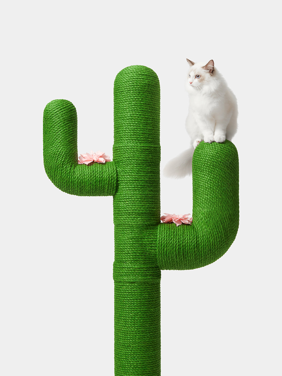 Y Oasis Cactus Cat Tree 65”