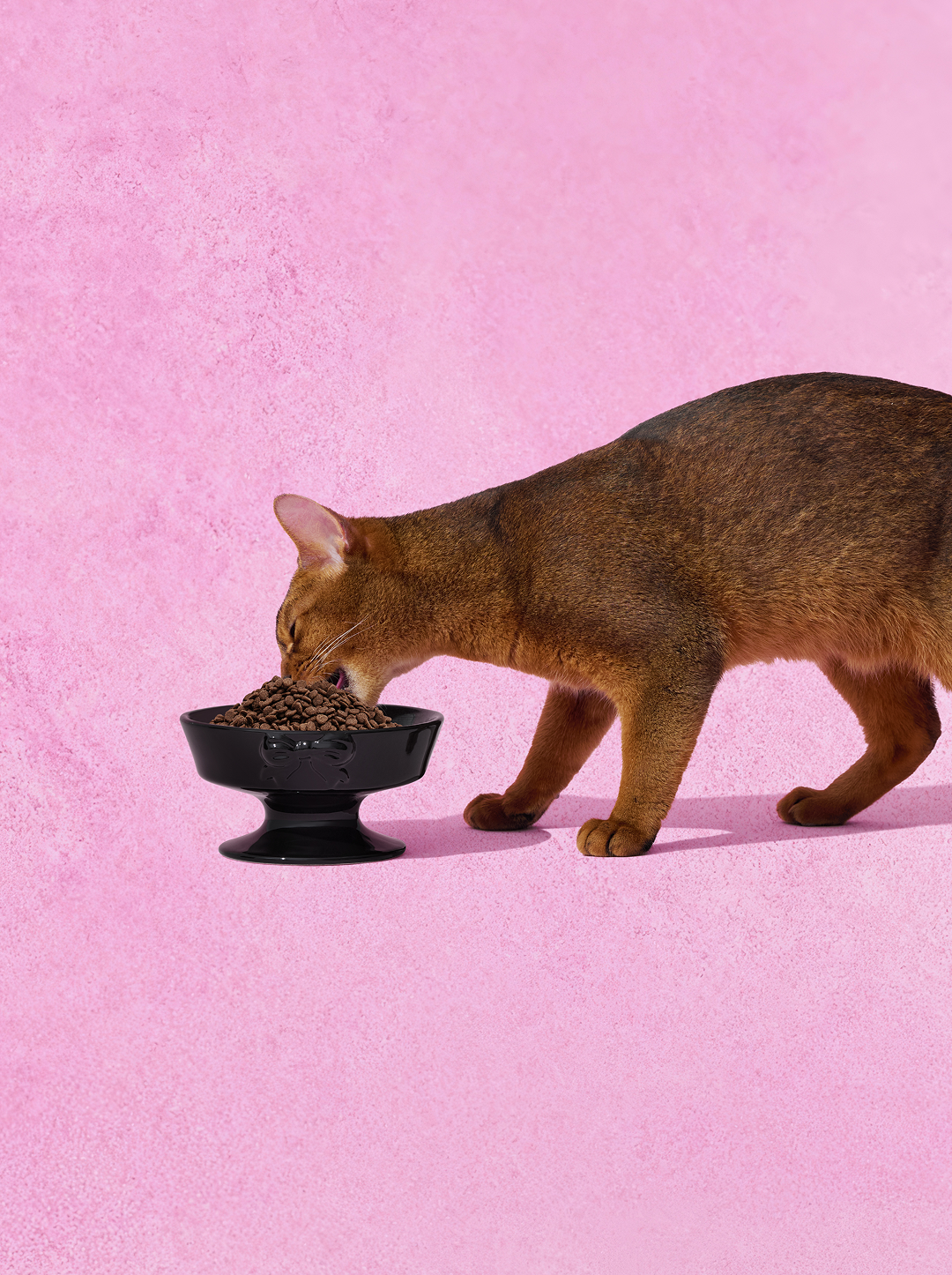 Bow De Noir Ceramic Pet Bowl