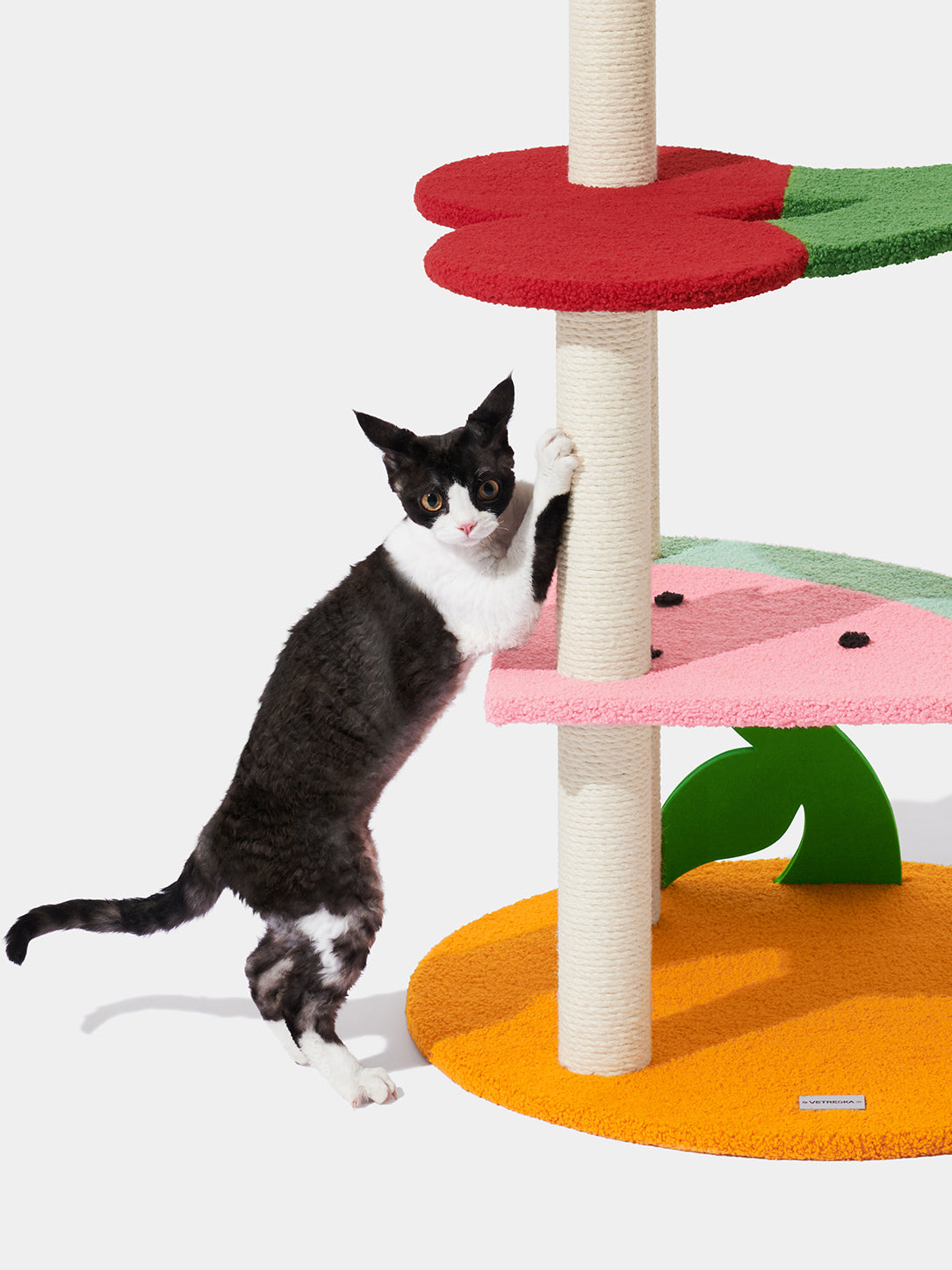 Y Fruit Frenzy Cat Climber