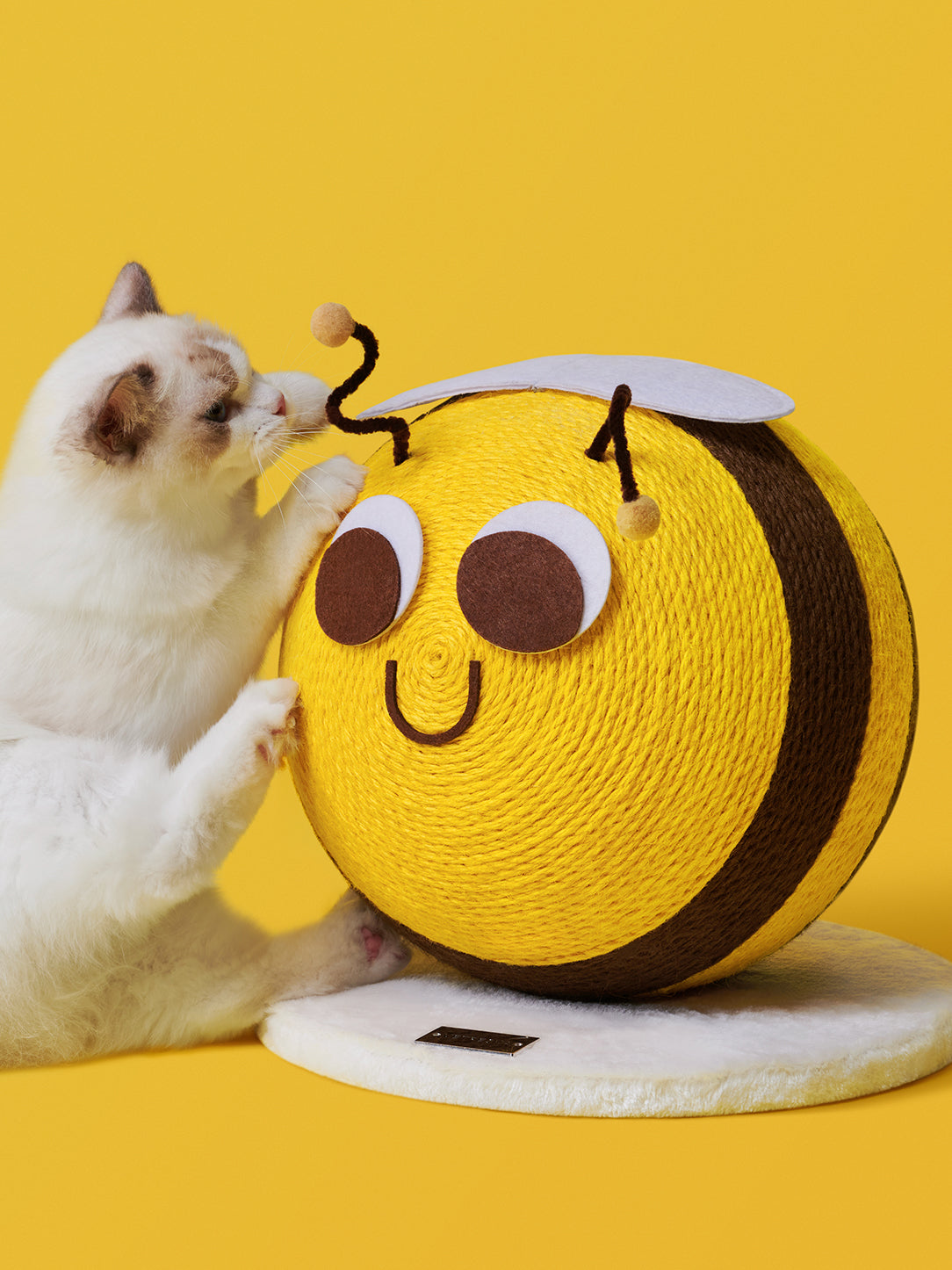 Y Bee Cat Scratching Ball