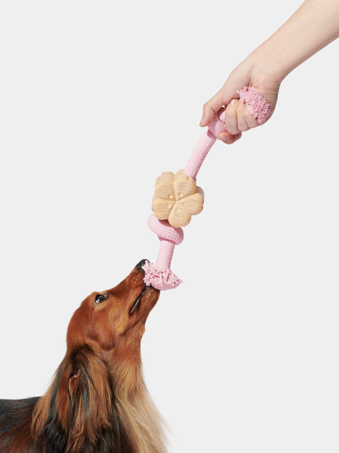 Y Cherry Blossom Knot Rope Toy