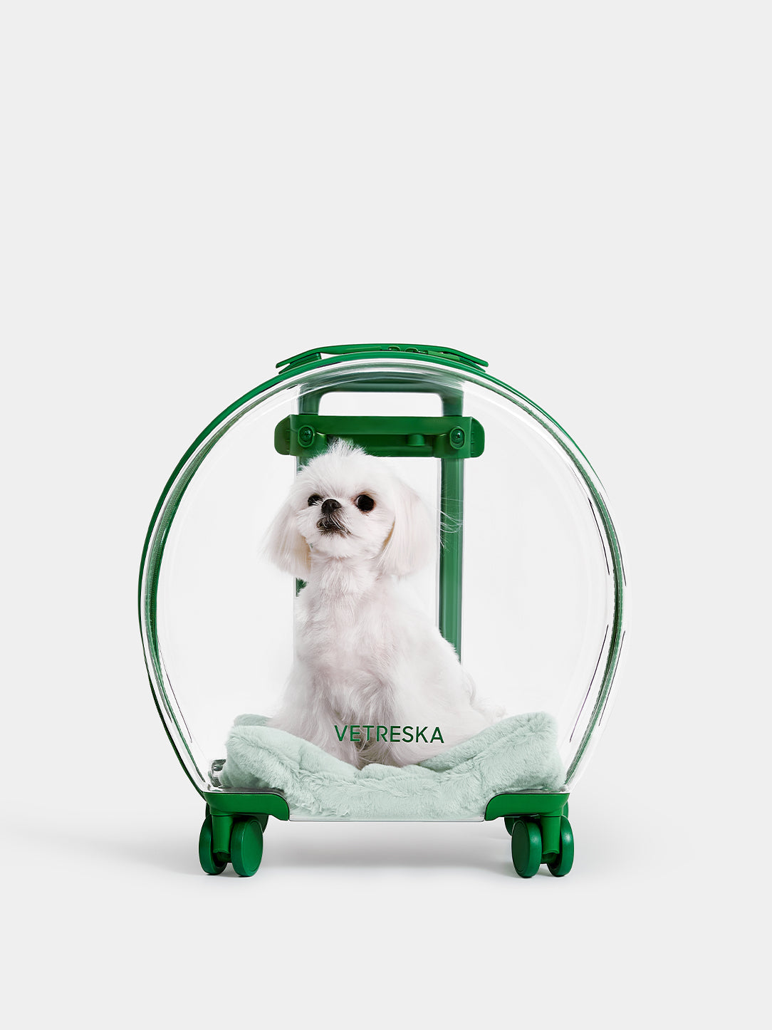 Bubble Pet Carrier - Green Color Block