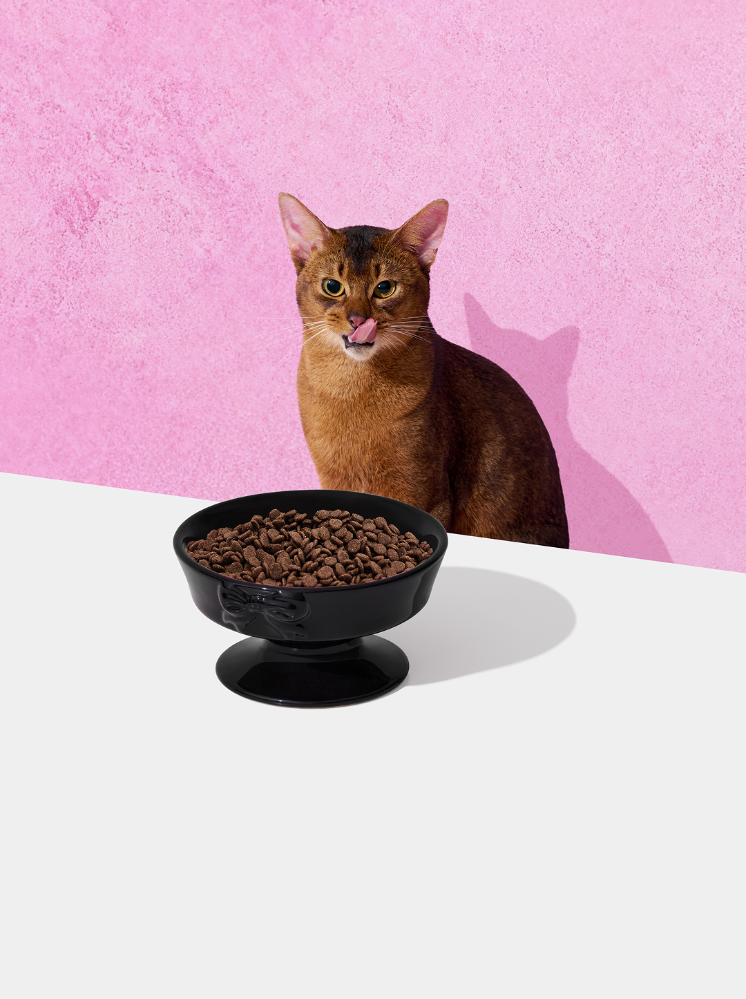 Bow De Noir Ceramic Pet Bowl