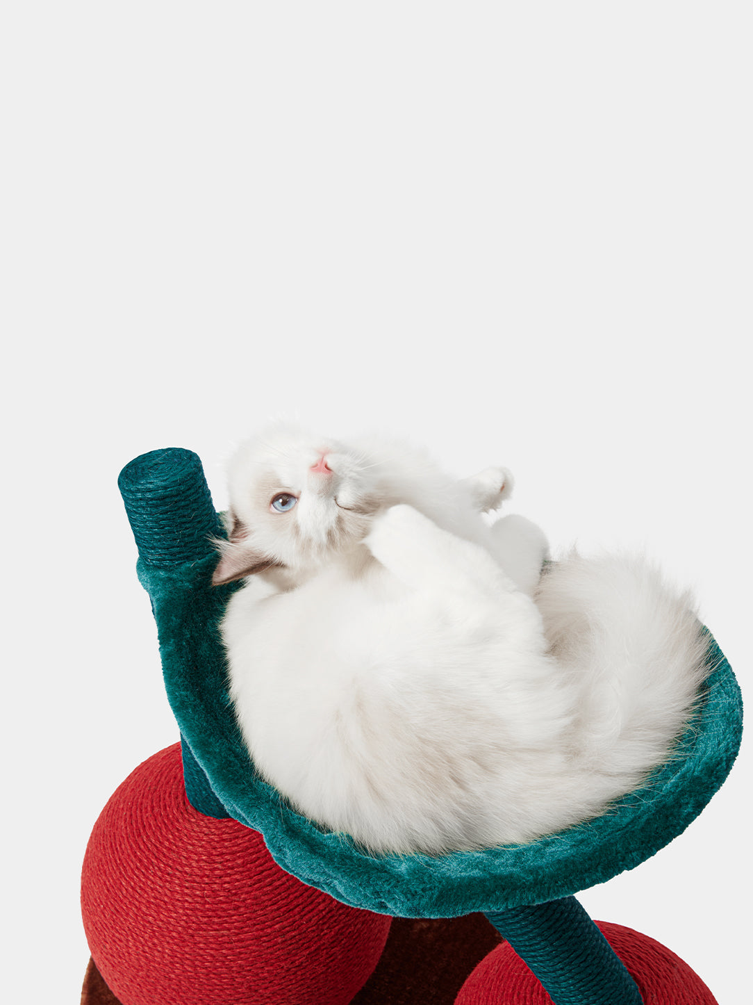 Y Cherry Cat Tree