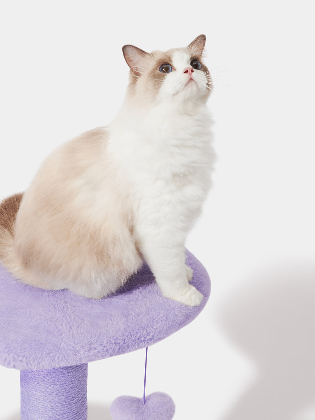 Y Heartpurrple Cat Climber - 4 Platforms