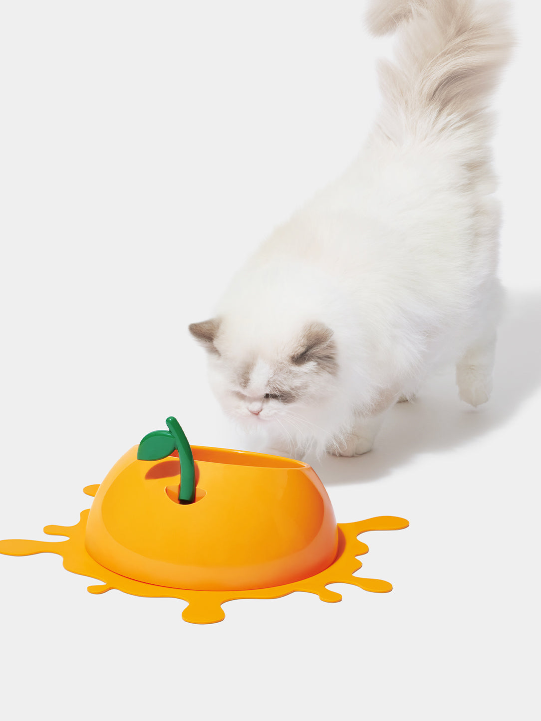 Y Juicy Tangerine Pet Bowl, Spoon & Mat Set