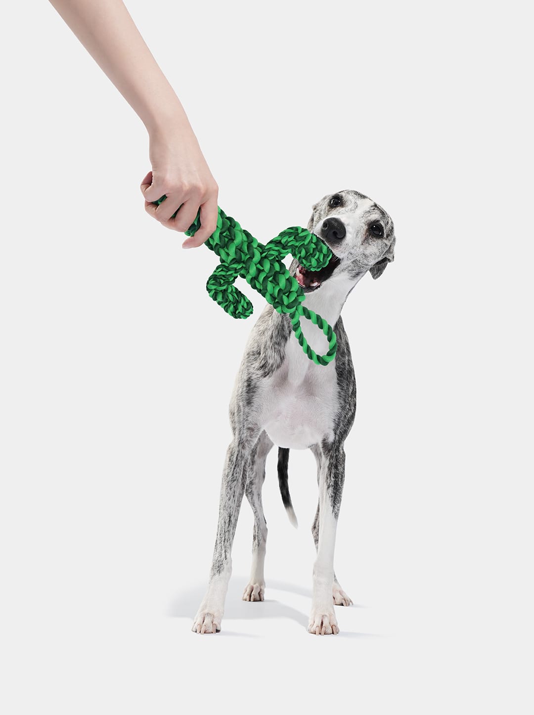 Oasis Cactus Knot Rope Toy