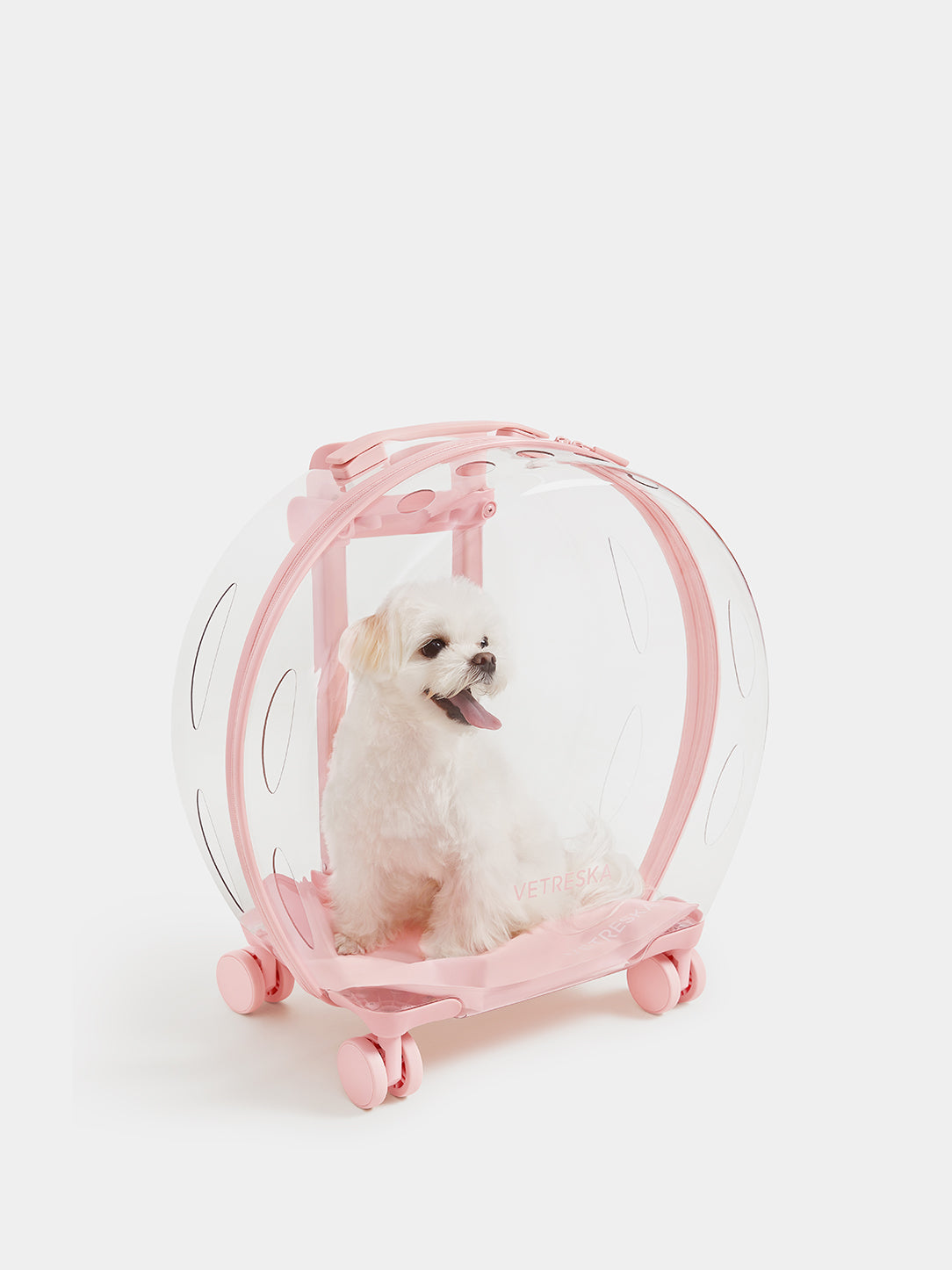 Bubble Pet Carrier - Pink Color Block