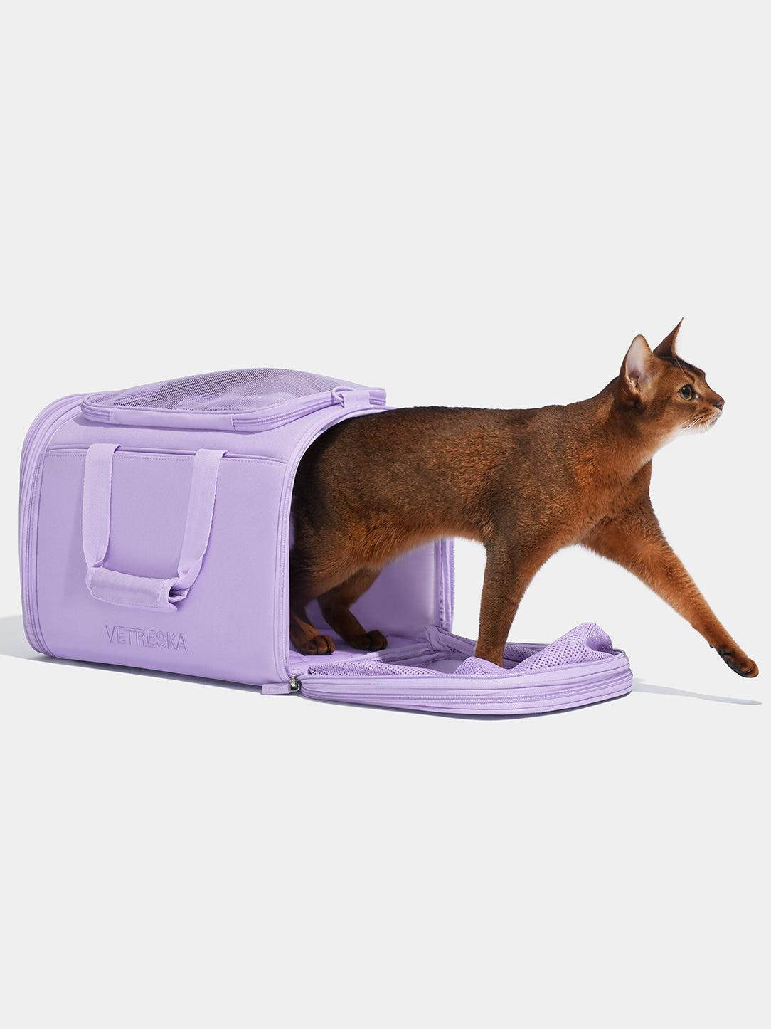 Y Violet Pet Carrier