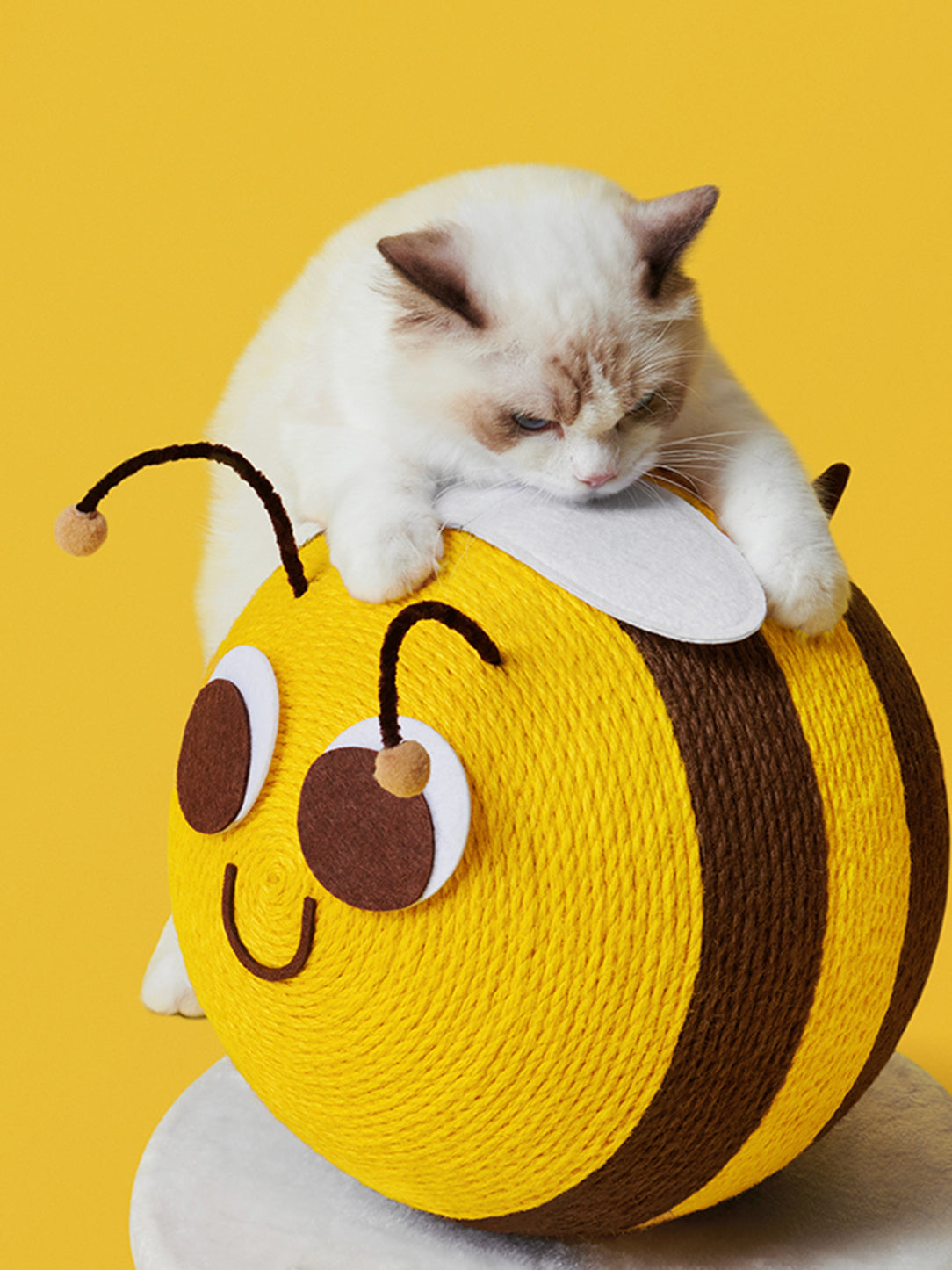 Y Bee Cat Scratching Ball