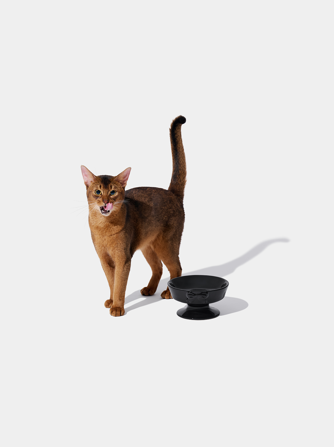 Bow De Noir Ceramic Pet Bowl
