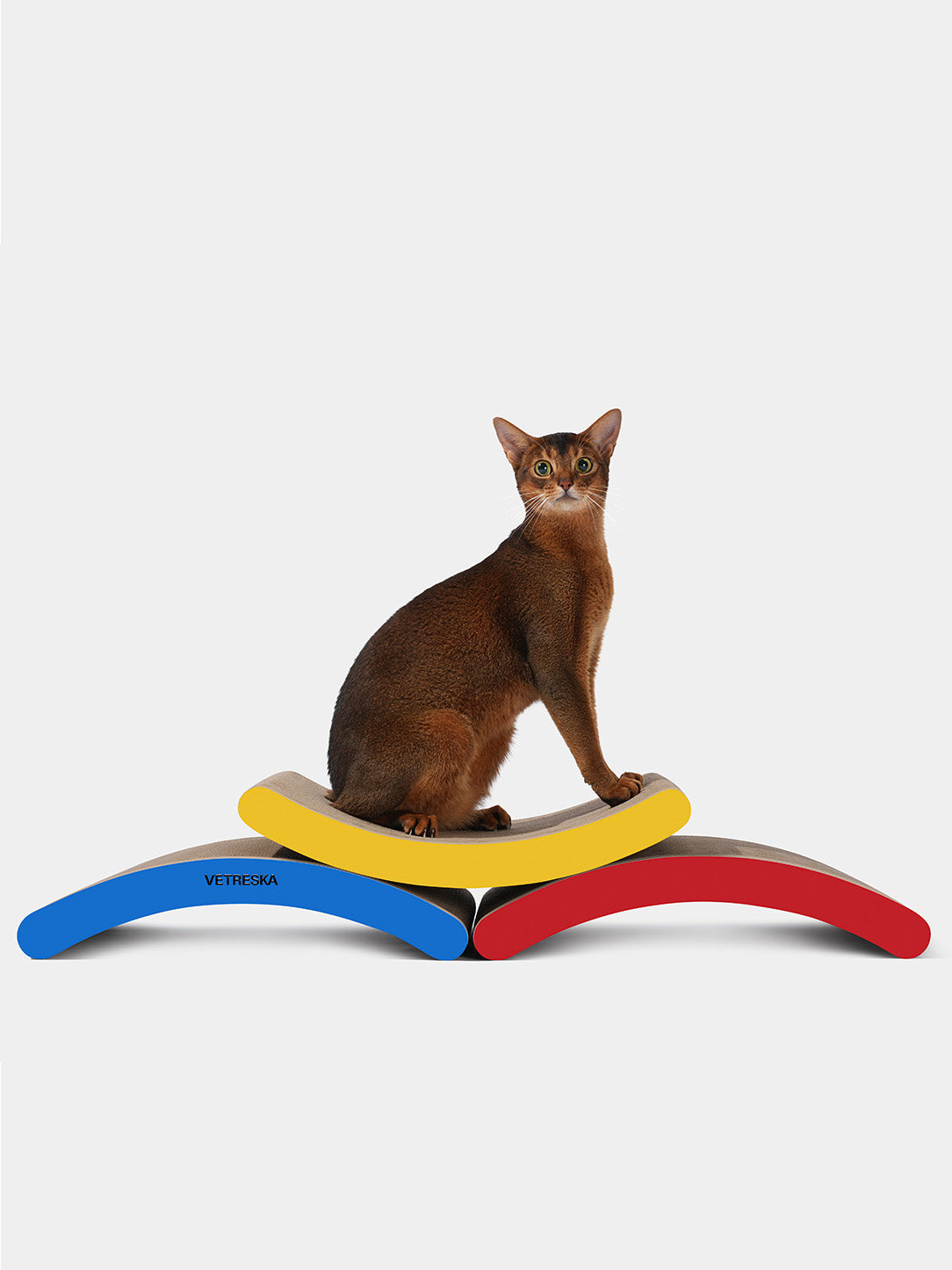 Chroma Cat Scratcher