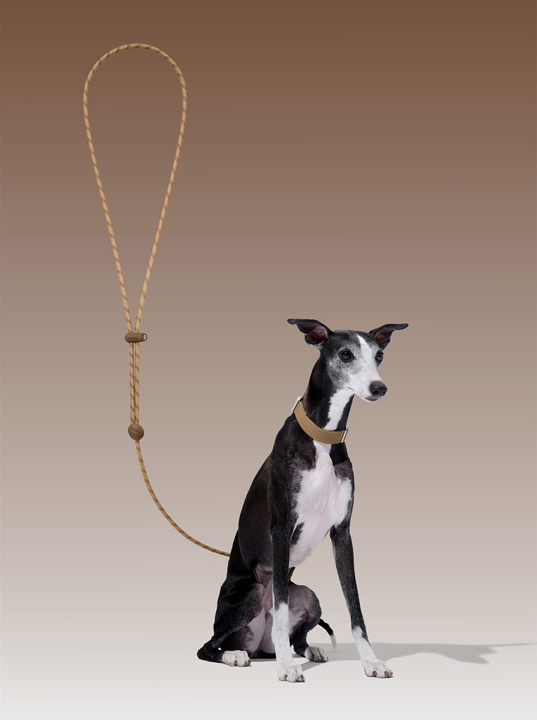 Connect Classic Rope Leash for Pets (Coffee)