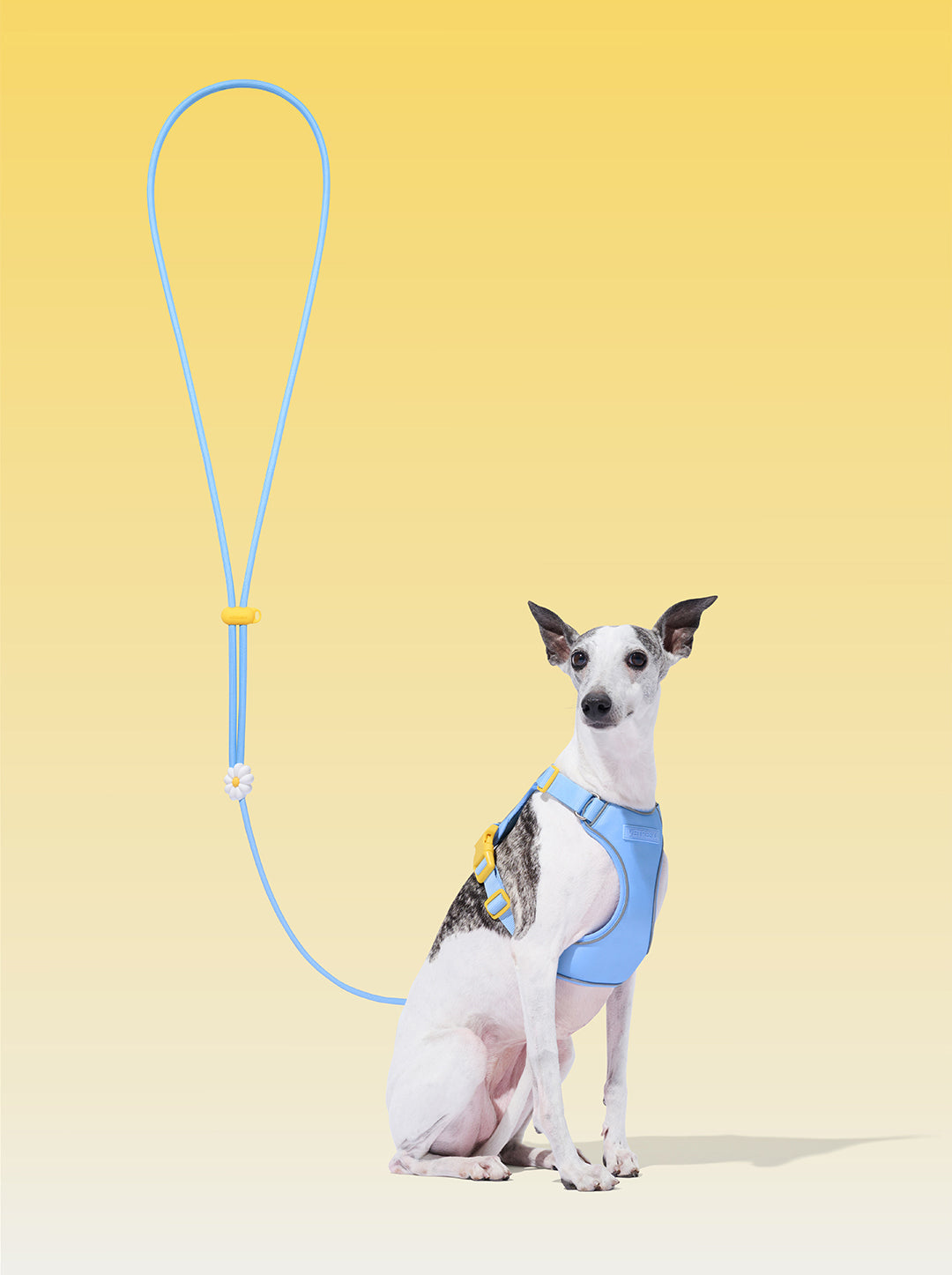 Connect Classic Rope Leash for Pets (Daisy)