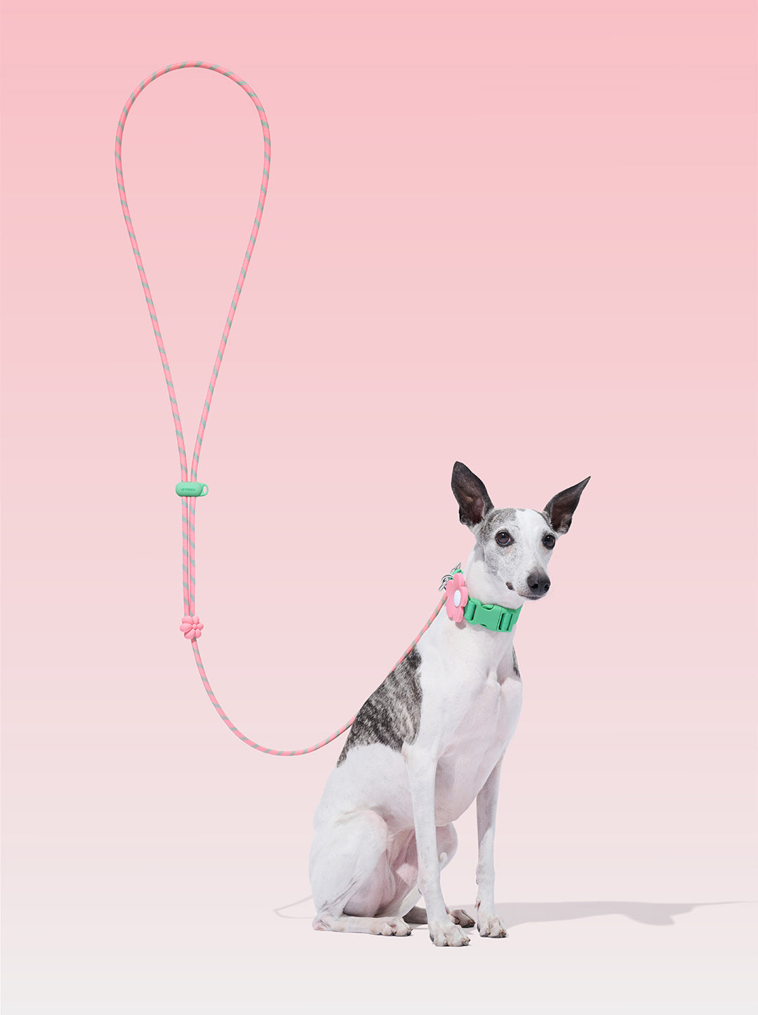 Connect Classic Rope Leash for Pets (Flora)