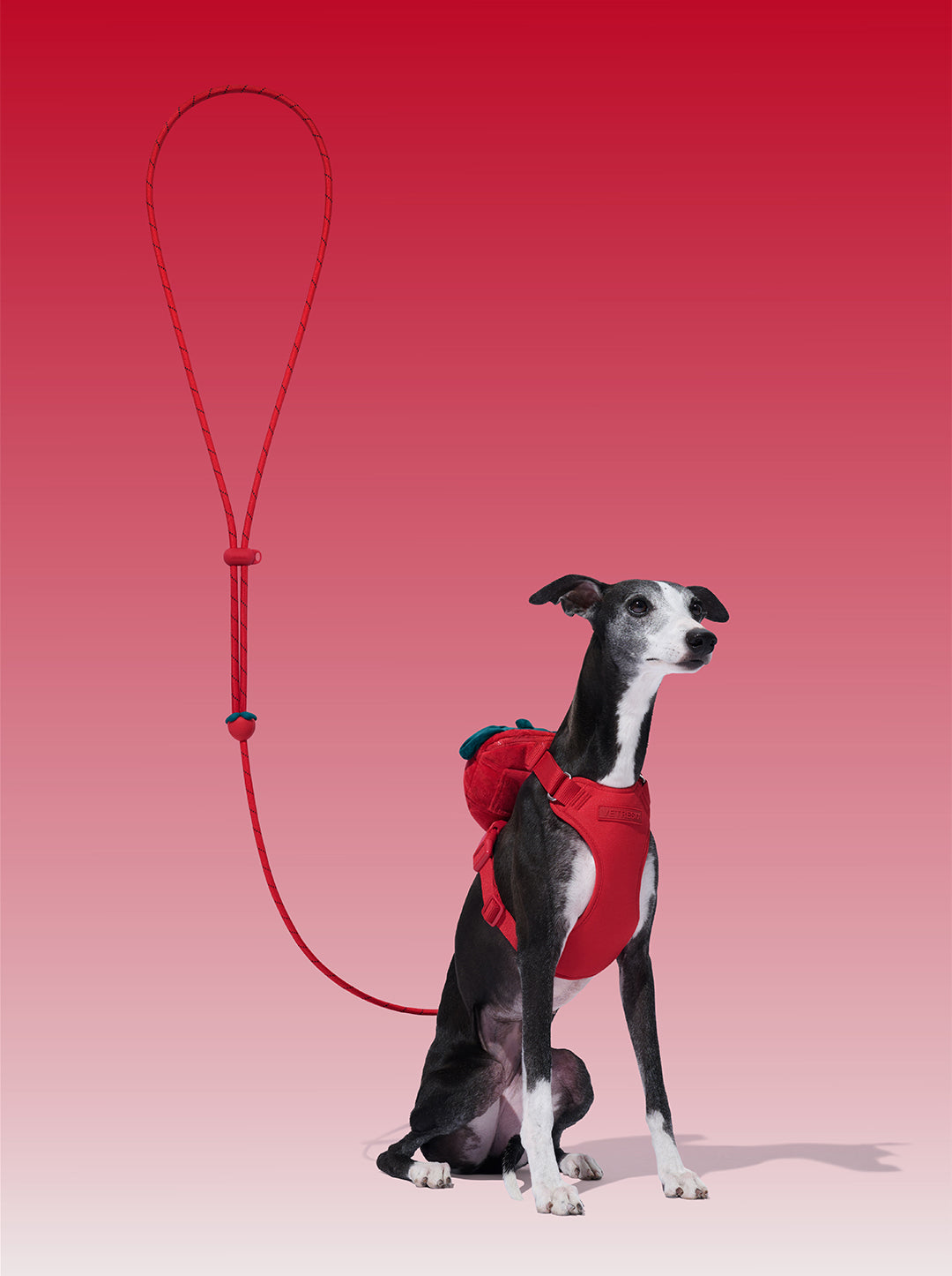 Connect Classic Rope Leash for Pets (Strawberry)